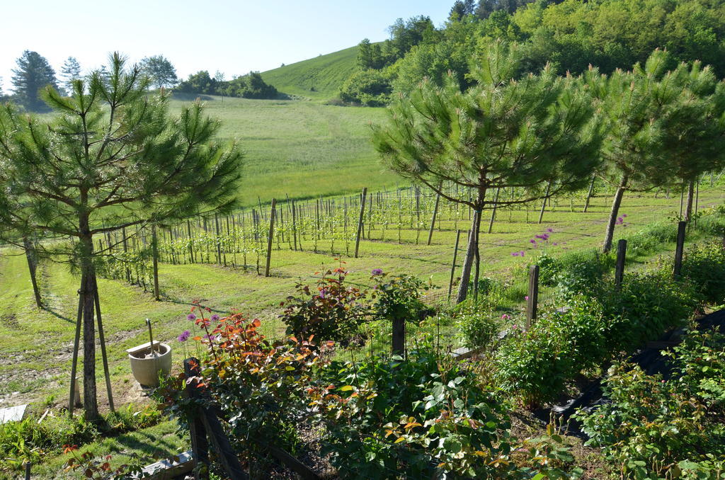 Cascina Castagneto Hotell CastellʼAlfero Eksteriør bilde